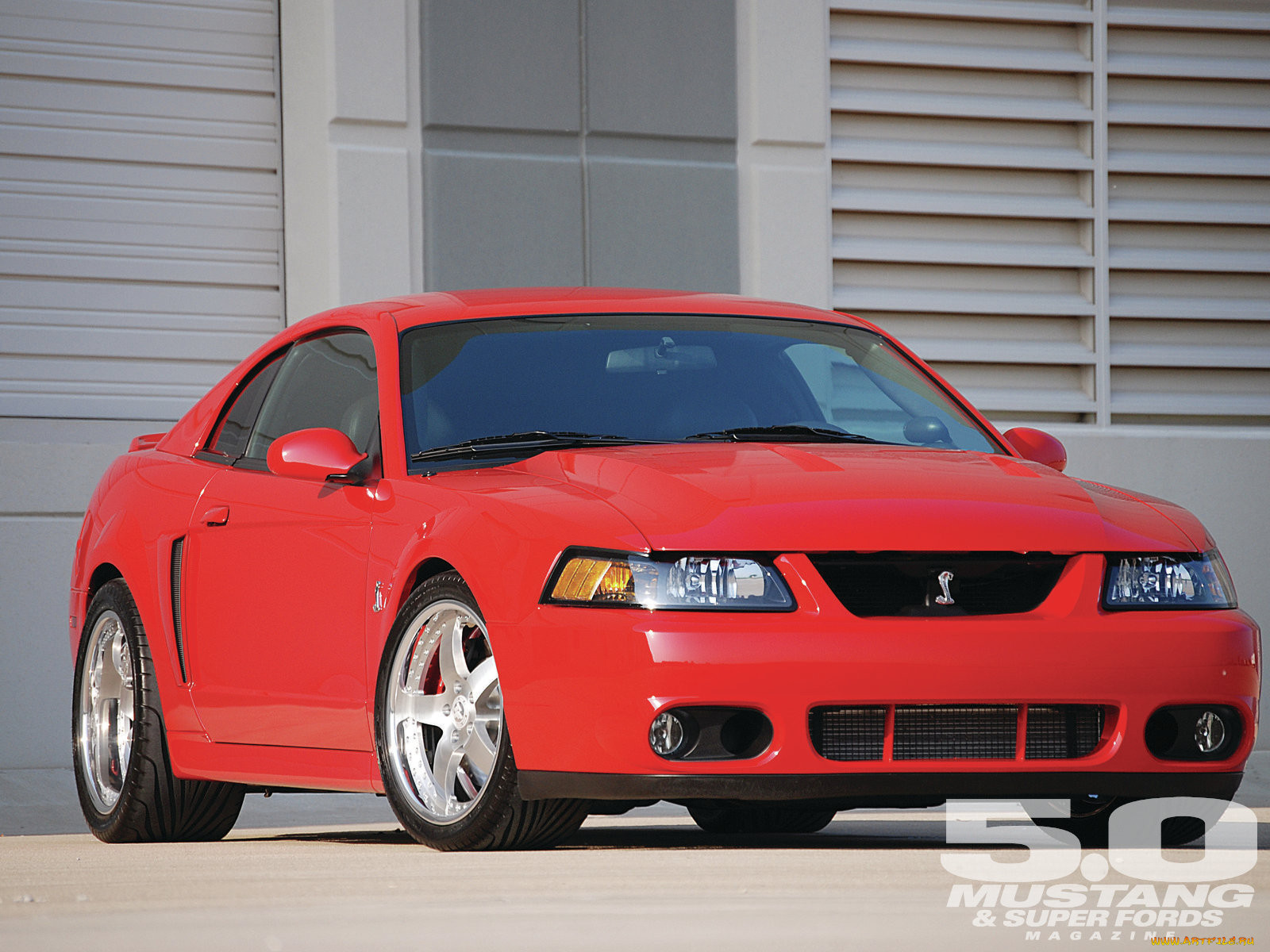 2004, ford, cobra, , mustang